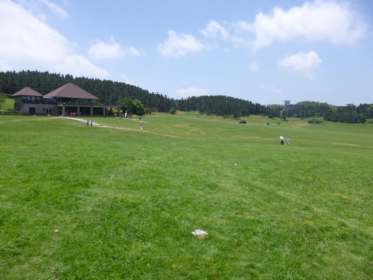 仙女山草原 仙女山草原