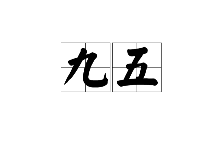 九五 九五
