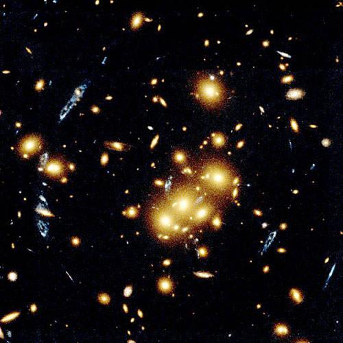 空间生命科学