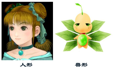 花楹