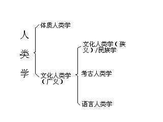 人类学