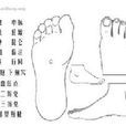 第三厉兑穴 第三厉兑穴