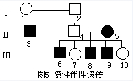 伴X染色体隐性遗传