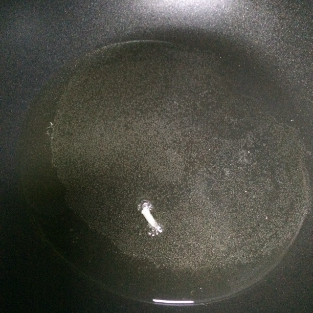 乾煸小龙虾