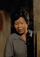 稻草人(1987年王童执导电影)