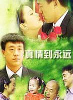 何冰(北京籍演员)
