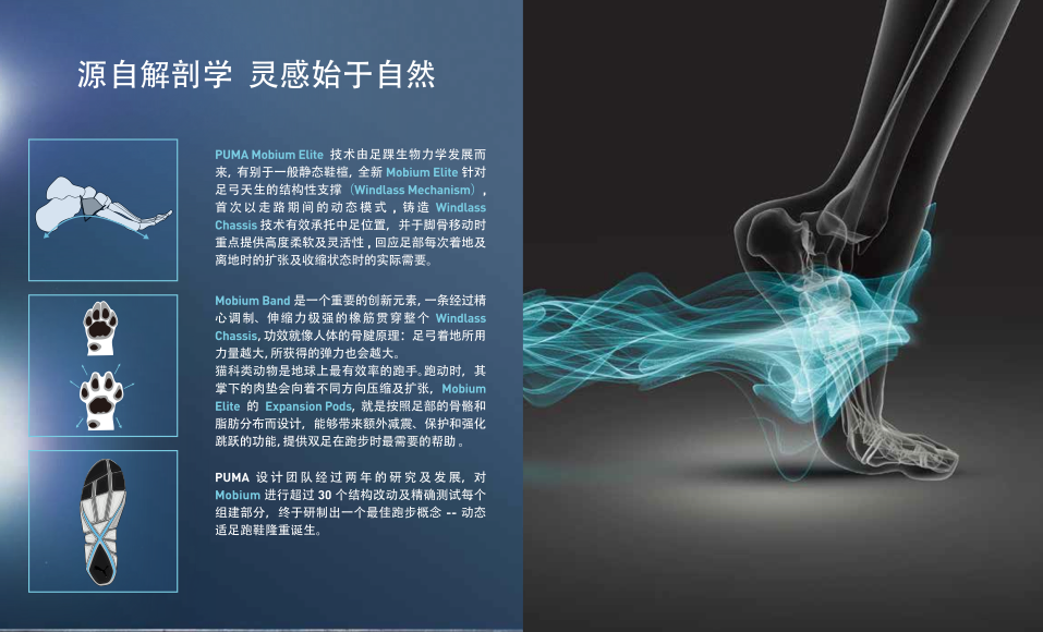 德国运动品牌 德国运动品牌