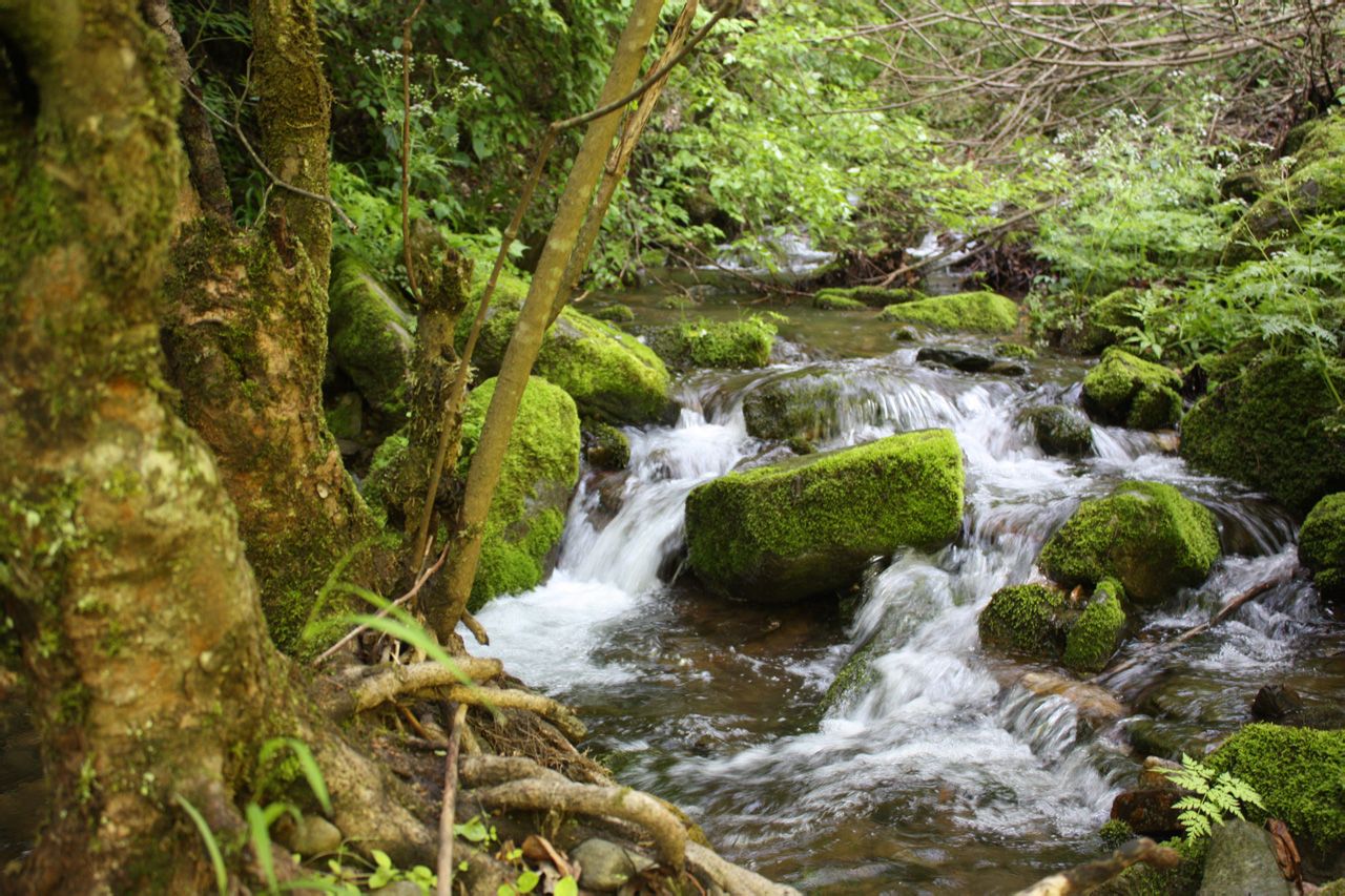 秦岭(中国地理南北分界山脉秦岭)