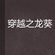 穿越之龙葵