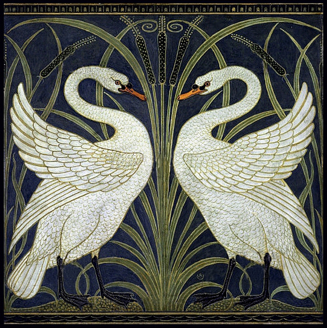 SWAN(书)