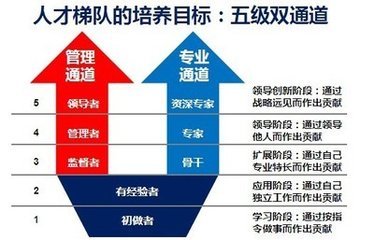 人才梯队建设 人才梯队建设