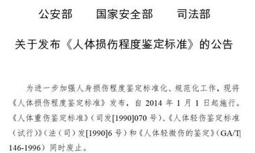 人体损伤程度鉴定标準