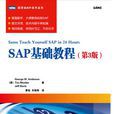 SAP基础教程 SAP基础教程