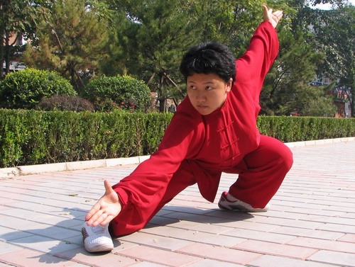 程派八卦掌 程派八卦掌