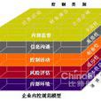 企业内部控制配套指引(2010年立信会计出版社出版图书) 企业内部控制配套指引(2010年立信会计出版社出版图书)