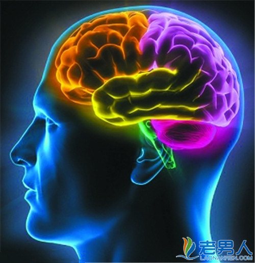 人类大脑十大未解之谜 人类大脑十大未解之谜