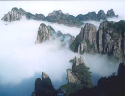 九龙峰 九龙峰