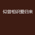 似曾相识爱归来 似曾相识爱归来