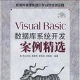 Visual Basic资料库系统开发案例精选