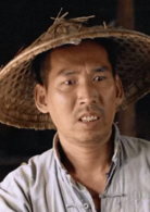 稻草人(1987年王童执导电影)