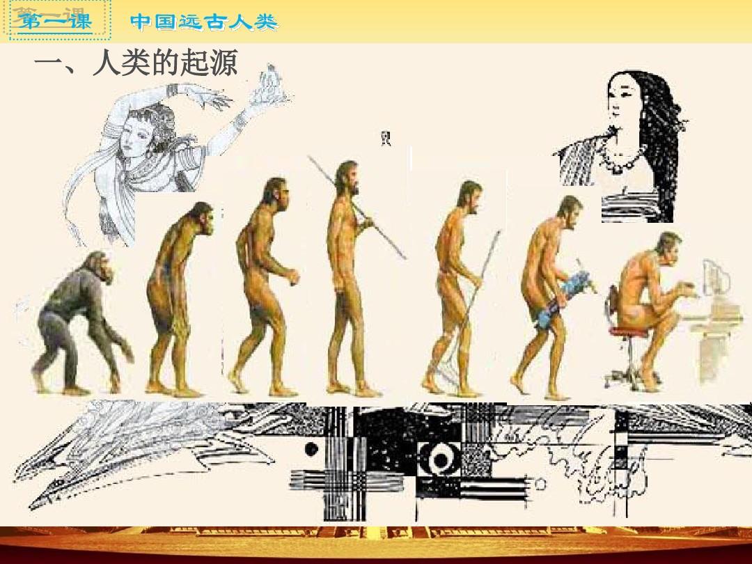 人类的起源(人类的历史) 人类的起源(人类的历史)