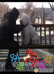 何中华(中国内地影视男演员、导演)