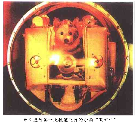空间生物学实验 空间生物学实验