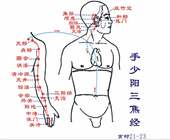 人体经脉 人体经脉