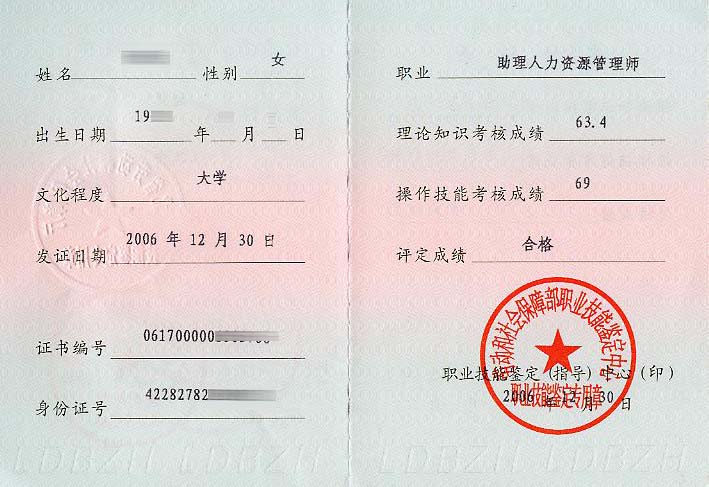 人力资源管理师(职业名称) 人力资源管理师(职业名称)