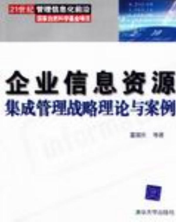 企业信息资源集成管理战略理论与案例 企业信息资源集成管理战略理论与案例