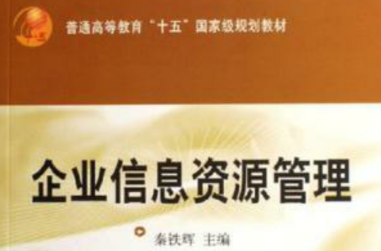 企业信息资源管理