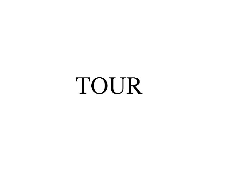 TOUR(巡迴演唱会)