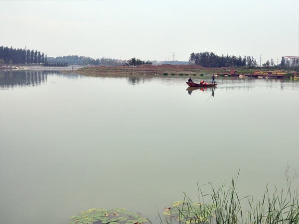 任城区(任城)