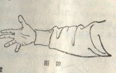 程式八卦掌诀 程式八卦掌诀
