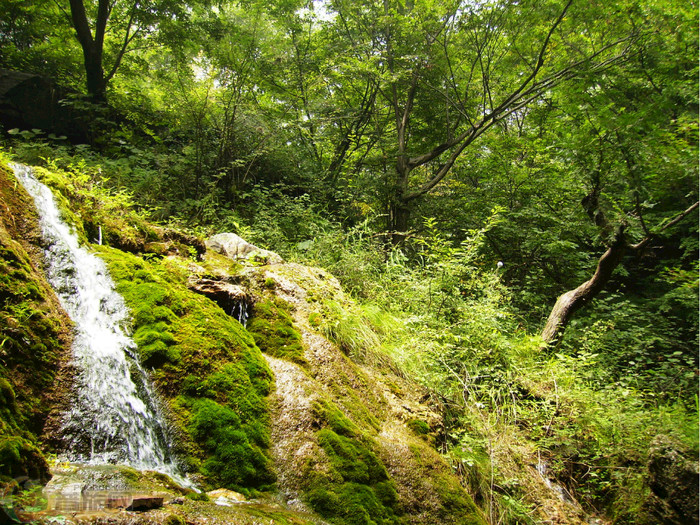九莲山景区