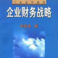 企业财务战略 企业财务战略