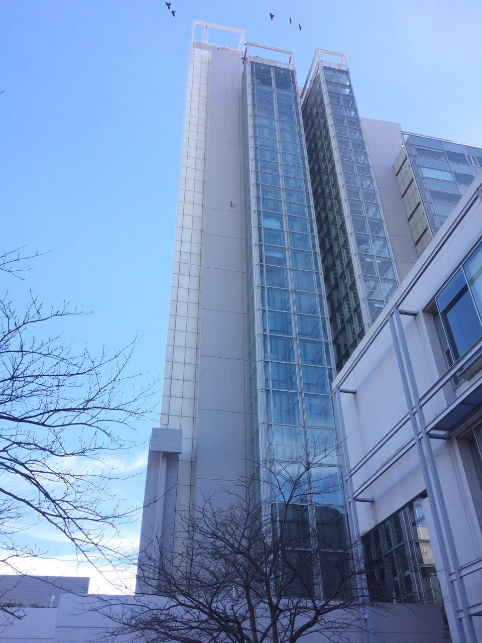 北九州市立大学本馆仰视图 北九州市立大学本馆仰视图