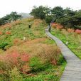 五脑山国家森林公园 五脑山国家森林公园