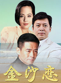 何政军