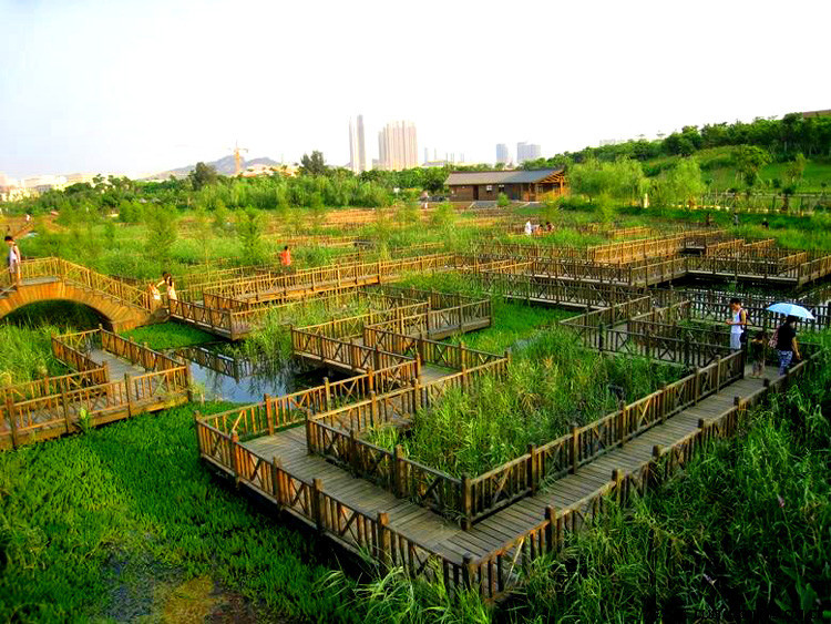 五缘湾湿地公园 五缘湾湿地公园