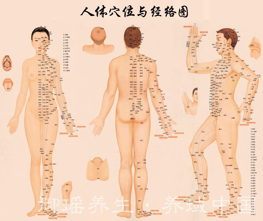 穴道