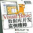 Visual Basic资料库开发实例精粹