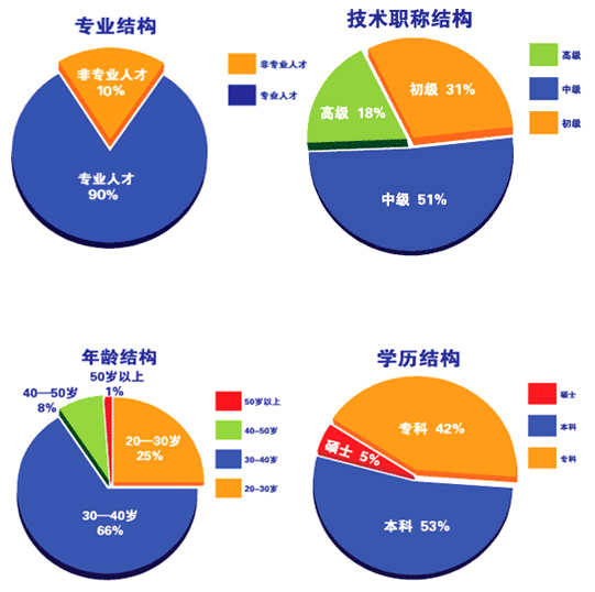 人才结构