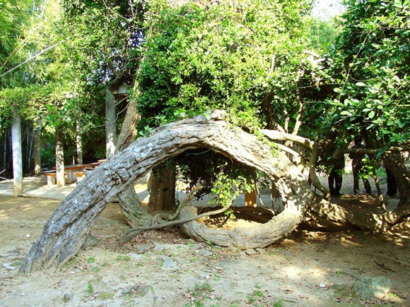 何仙姑景区 何仙姑景区
