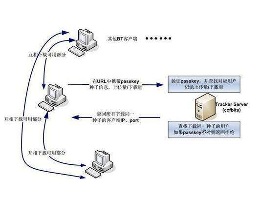 pt下载