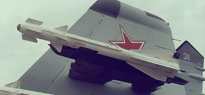 R-60蚜虫