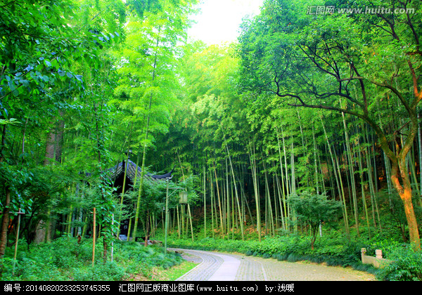 竹林(词语释义)
