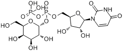 UDP-Gal