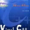 Visual C++编程技巧与示例
