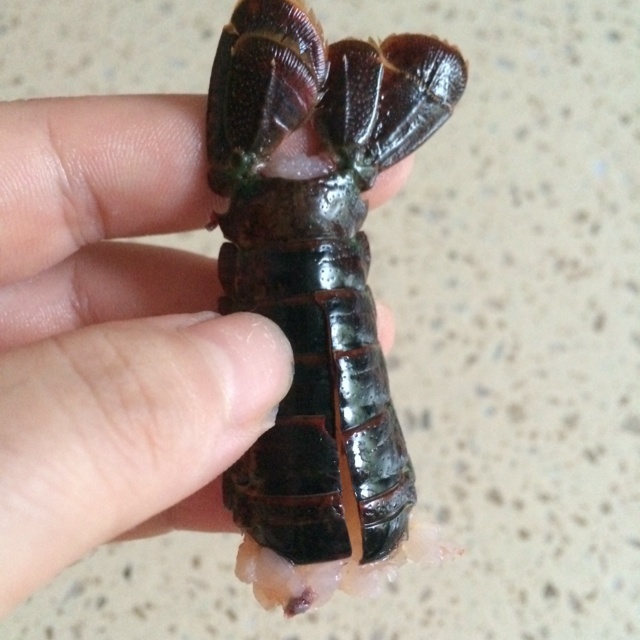 乾煸小龙虾
